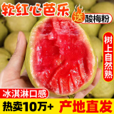 探味君 广西红心芭乐番石榴 新鲜水果生鲜健康轻食带箱 软糯红心芭乐净重4.8斤