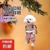 创意小泰迪背包亚克力平面挂件车载挂饰包包钥匙扣ins风送闺蜜 泰迪熊【粉色款】 1个装