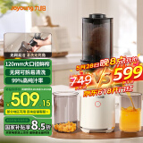 九阳原汁机 多功能家用电动榨汁机全自动果汁果蔬机渣汁分离 榨汁机 LZ566