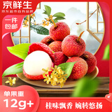 京鲜生 广东桂味荔枝 单果12g+净重5斤 新鲜水果 源头直发包邮
