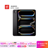 Apple/苹果 iPad Pro 11英寸 M4芯片 2024年新款平板电脑(512G WLAN版/MVVC3CH/A)深空黑色