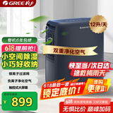 格力（GREE）【轻音小体积 空气净化】除湿机/抽湿机家用卧室客厅除湿器升级负离子净化适用面积24平DH12ENA1A
