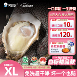 贝司令（BEISILING）【鲜活】乳山生态生蚝牡蛎贝类烧烤源头直发XL净重4斤16-22只装