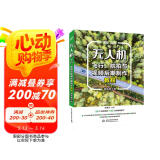 无人机飞行、航拍与视频后期制作教程（视频教学版）飞手航拍教程无人机摄影与短视频后期从入门到精通 大疆无人机一本书搞懂无人机详解 零基础学无人机教程书籍
