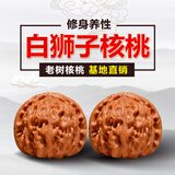 沐玛手玩核桃文玩麻核头闷尖白狮子头四座楼磨盘520送礼物男 43-44MM老树白狮子头+工具