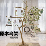 小鸟站架文艺造型灯架训鸟架秋千鸟笼天然树枝去皮原木鹦鹉站杆架 0.5米高(底座+麻绳+秋千+圆盘)
