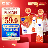 蒙牛纯甄高端轻酪乳风味酸奶红西柚口味230g×10瓶 礼盒装