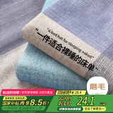 艾薇床单单件  双人家用被单男士亲肤水洗床单 条纹时代 230*250cm