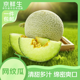 京鲜生 内蒙网纹甜瓜 单果2斤起 1-2粒装 净重5-6斤 源头直发包邮
