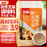 乐畅孜然芝麻调味料40g 烧烤料蘸料撒料空气炸锅调料 凉拌菜炒菜椒盐