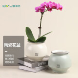 奥美优陶瓷花盆室内轻奢简约家用大号多肉绿植吊兰蝴蝶兰花客厅阳台桌面