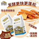 燕子（SAF INSTANT）烘焙原料 金装高活性即发干酵母粉 耐高糖发酵粉 3g*20袋 
