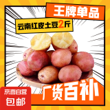 【真便宜】云南红皮土豆高原黄心土豆云南土豆新鲜红皮黄心洋芋 2斤宝宝果