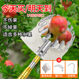EVANLEY摘果神器伸缩杆摘柿子杨梅李子杏子荔枝摘果芒器高空采摘水果工具 【不锈钢】5米伸缩摘果器