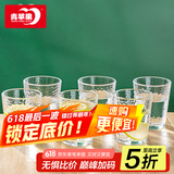 青苹果【热卖10万+】爆款加厚水杯玻璃杯茶杯咖啡杯泡茶杯 锤纹杯6只装