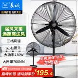 长城（CHANGCHENG）工业风扇电风扇工厂车间大风力落地扇强力超大工业扇商用牛角扇大功率交流定频工业电风扇FL-65