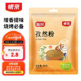 银京 孜然粉40g 香辛调味料炖肉腌肉调料烧烤烤串撒料 厨房调味品