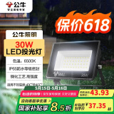 公牛（BULL）LED投光灯户外庭院工厂园林灯露营灯 IP65防水等级30W-6500K白光