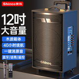 新科T30广场舞音响户外蓝牙音箱低音炮大音量家用k歌便携式移动扩音器地摊摆摊大喇叭 12吋单咪