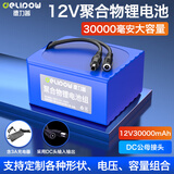 德力普（Delipow）12v锂电池组聚合物移动电源大容量带显示屏24V可充电户外音响/太阳能路灯/监控设备/防蜂服led灯等 12V30000mAh【送3A充电器】