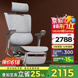 Ergonor保友优旗舰 2代 高端人体工学椅电脑椅家用 电竞椅办公椅老板椅 银白美国网+躺舒宝 整椅发货 送货上门
