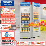 星星（XINGX） 316升 立式玻璃门展示柜冷柜 饮料陈列柜 商用冷藏冰箱（银灰色） LSC-316C