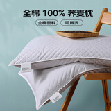 艾薇 全棉荞麦枕芯纯棉100%荞麦壳填充颈椎硬枕头一只48*74cm 高档白