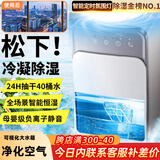 NIYEVN【200平全屋除湿丨40L水回南天】除湿机家用抽湿机补贴20%除湿器广东工业干燥烘干机小型米吸湿 30L/天 全屋除湿丨双核35倍强效丨负离子净化