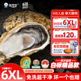 贝司令（BEISILING）【鲜活】乳山生态生蚝牡蛎贝类烧烤源头直发6XL净重9斤端午聚餐