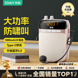 索爱（soaiy）S318PRO小蜜蜂扩音器教师专用10W大功率智能防啸叫U盘TF卡麦克风喇叭导游蓝牙音箱音响便携 玫瑰金