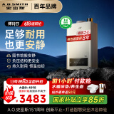 史密斯（A.O.SMITH）16升精钢燃气热水器 国家补贴 1级静音 恒温大水量 抗风防冻 JSQ31-TEW 更安全更安静 以旧换新