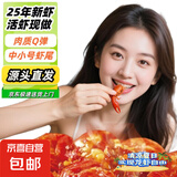 【自营】麻辣小龙虾尾25年鲜活小龙虾现做加热即食龙虾球 250g/盒*5盒