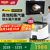 KARCHER德国卡赫 国家补贴家用高温高压蒸汽清洁机厨房油烟机卫生间清洗机洗地机杀菌除螨一机多用SC4D