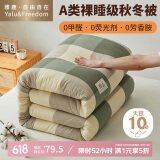 雅鹿·自由自在A类被子抗菌春秋棉大豆纤维被芯单双人8斤200x230cm 曼岛绿