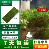 疯狂水草鱼缸水草净化水质套餐蜈蚣草阴性水草浮萍植物活体水培 三角莫斯8*20