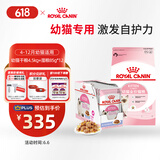 皇家皇家幼猫 干湿搭配   K36 4.5KG+ KJP 85G*12