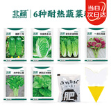 北蔬蔬菜种子空心菜苋菜木耳菜黄瓜快菜耐热种籽 6种耐热蔬菜种子套装