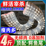 柒岛鳄鱼肉鳄鱼尾鳄鱼腿肉鳄鱼腩肉鳄掌肉带皮鳄鱼生鲜肉食材净重 4斤鳄鱼尾巴肉