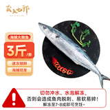 卖鱼七郎青岛海捕大鲅鱼整条3斤 超大马鲛鱼 海鲜水产生鲜鱼类 源头直发