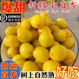 松筱新疆小白杏新鲜杏子吊干杏【顺丰空运-可送货上门】送礼盒 小白杏4斤送礼装