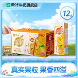 蒙牛 真果粒牛奶饮品礼盒装 Q弹果粒 【送女友推荐】 【黄桃果粒】250g*12盒