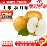 闽域寻鲜山东莱阳秋月梨当季新品羊脂老树秋月梨整箱送礼水果秋月梨 净重4.5斤（普装 | 单果250g+） 【梨子爱好者首选】