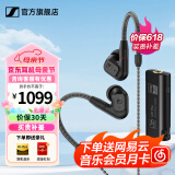 森海塞尔（Sennheiser）IE300/IE200/IE600/IE900 有线耳机旗舰级HiFi音乐高保真动圈入耳式耳挂耳塞超宽换能器 ie系列 IE200+山灵UA1 Plus小尾巴