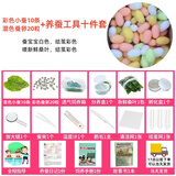 沃绣 蚕宝宝当天发货 蚕宝宝活体蚕卵小蚕彩色蚕桑叶新鲜桑叶养蚕套装 彩色蚕10条+蚕卵20+桑叶+十件套