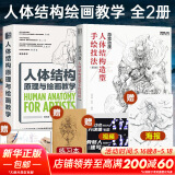 人体结构原理与绘画教学 肖玮春 人物结构造型绘画零基础入门 赠人体动态海报+视频 人体结构绘画教学2册（原理与绘画教学+造型手绘技法