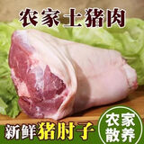 克雷蒙【精排条】猪排骨 新鲜宰杀 猪肋排 无脊骨 鲜货速冻猪肉生鲜 猪肘子整个*净重2斤*新鲜宰杀