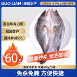 GUO LIAN国联水产 三去海鲈鱼3条/2.4斤 海鲜鱼类 源头直发 海鲜海产冷冻