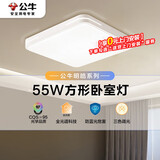 公牛（BULL）吸顶灯明皓全光谱客厅灯MX-B055E-CS三段调光55W Ra97显指 送安装