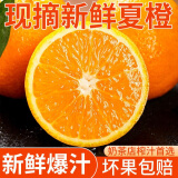 集年鲜湖北夏橙当季新鲜水果现摘现发节日送礼生鲜 状元果净重9斤（单果70-75mm）