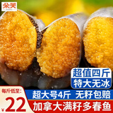 朵芙满籽多春鱼  特大号多籽多春鱼净重2斤 约40条多子鱼烧烤食材海鲜 【4斤】满籽特大号13-15cm